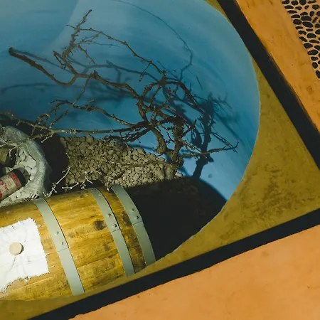Flora's House & Cave Winery Дом отдыха